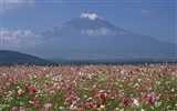 Mont Fuji, papier peint Japon (1) #20