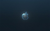 Apple theme wallpaper album (12) #17