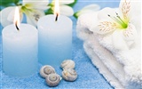 Features large SPA wallpaper (1)