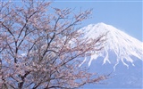 Mont Fuji, papier peint Japon (2) #3