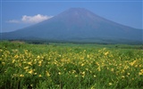 Mount Fuji, Japan wallpaper (2) #5