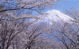 Mount Fuji, Japonsko tapety (2) #9