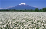 Mont Fuji, papier peint Japon (2) #15