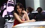 2010 Beijing International Auto Show beauty (1) (the wind chasing the clouds works) #4