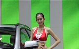 2010 v Pekingu Mezinárodním autosalonu krása (1) (vítr honí mraky práce) #10