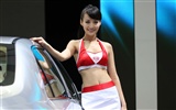 2010 v Pekingu Mezinárodním autosalonu krása (1) (vítr honí mraky práce) #11