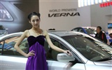 2010 Beijing International Auto Show beauty (1) (the wind chasing the clouds works) #15