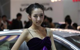 2010 Beijing International Auto Show beauty (1) (the wind chasing the clouds works) #21