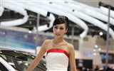 2010 Beijing International Auto Show beauty (1) (the wind chasing the clouds works) #27