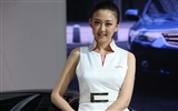 2010 v Pekingu Mezinárodním autosalonu krása (1) (vítr honí mraky práce) #30