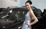 2010 v Pekingu Mezinárodním autosalonu krása (2) (vítr honí mraky práce) #25