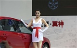 2010 v Pekingu Mezinárodním autosalonu krása (2) (vítr honí mraky práce) #30
