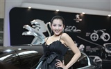 2010 Beijing International Auto Show beauty (2) (the wind chasing the clouds works) #37