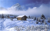 Winter Snow wallpaper (2) #2