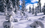 Zimní sníh tapety (2) #3