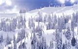 Invierno Nieve fondo de pantalla (2) #5