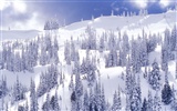 Winter Snow Wallpaper (2) #5