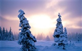 Winter Snow Wallpaper (2) #6