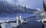 Winter Snow wallpaper (2) #7