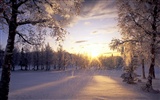 Winter Snow Wallpaper (2) #8