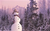 Winter Snow wallpaper (2) #9