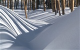 Zimní sníh tapety (2) #10