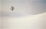 Winter Snow Wallpaper (2) #17