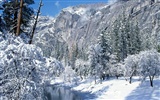 Winter Snow Wallpaper (2) #20