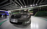 2010 Beijing Auto Show (the wind chasing the clouds works) #10