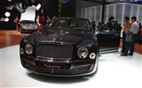 2010 Beijing Auto Show (the wind chasing the clouds works) #15