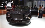 2010 Beijing Auto Show (der Wind jagte die Wolken Werke) #15