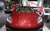 2010 Beijing Auto Show (the wind chasing the clouds works) #17