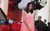 2010 Beijing Auto Show Fahrzeugmodelle Collection (1) #6