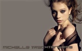 Michelle Trachtenberg 米歇爾·崔切伯格美女壁紙 #4