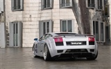 Enfriar coches Lamborghini Wallpaper (2) #8