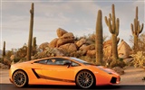 Cool автомобили Lamborghini обои (2) #10