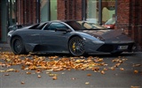 Cool автомобили Lamborghini обои (2) #13