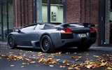 Enfriar coches Lamborghini Wallpaper (2) #14