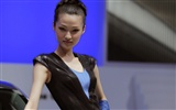 2010 Beijing Auto Show car models Collection (2) #2