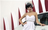 2010 Beijing Auto Salon de l'auto modèles de la collection (2) #6