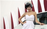 2010 Beijing Auto Show Fahrzeugmodelle Collection (2) #6