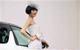 2010 Beijing Auto Show Fahrzeugmodelle Collection (2) #8