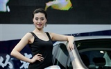 2010 Beijing Auto Show Fahrzeugmodelle Collection (2) #10