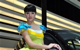 2010 Beijing Auto Show car models Collection (2) #13