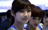 2010 Beijing Auto Show car models Collection (2) #16