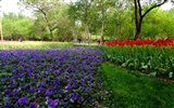 Xiangshan early summer garden (rebar works) #3