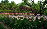 Xiangshan jardín principios del verano (obras barras de refuerzo) #46150