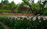 jardin Xiangshan début de l'été (travaux barres d'armature) #46150