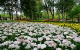 jardin Xiangshan début de l'été (travaux barres d'armature) #5