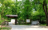 Xiangshan Frühsommer Garten (Bewehren) #16